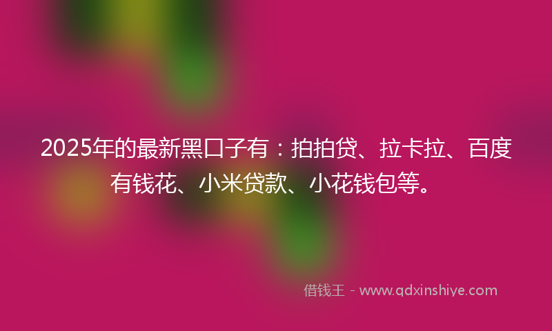 2025年的最新黑口子有：拍拍贷、拉卡拉、百度有钱花、小米贷款、小花钱包等。