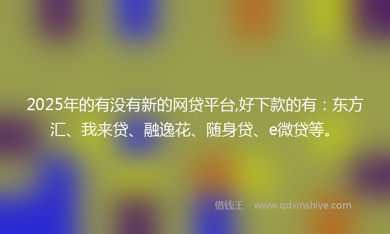 2025年的有没有新的网贷平台,好下款的有：东方汇、我来贷、融逸花、随身贷、e微贷等。