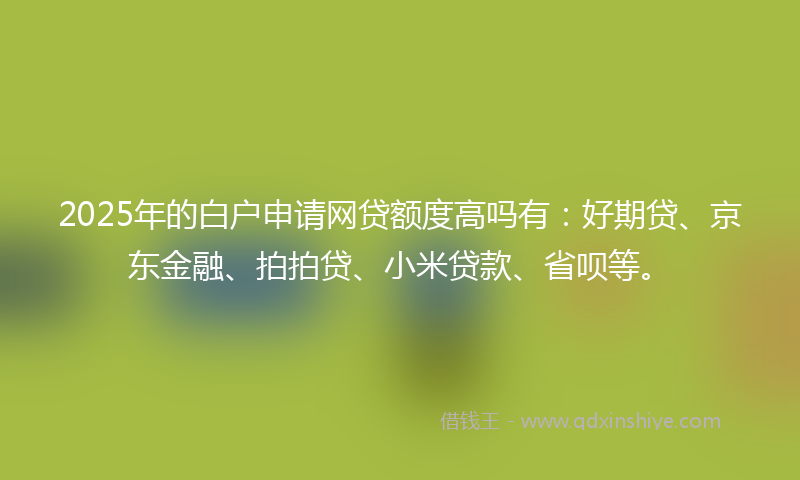 2025年的白户申请网贷额度高吗有：好期贷、京东金融、拍拍贷、小米贷款、省呗等。