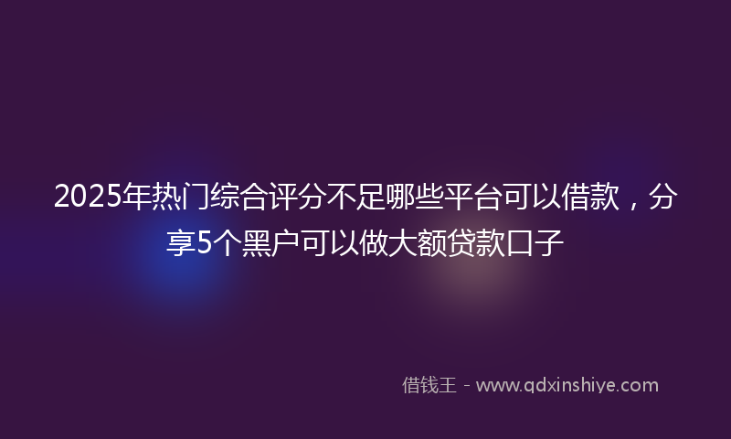 2025年热门综合评分不足哪些平台可以借款，分享5个黑户可以做大额贷款口子