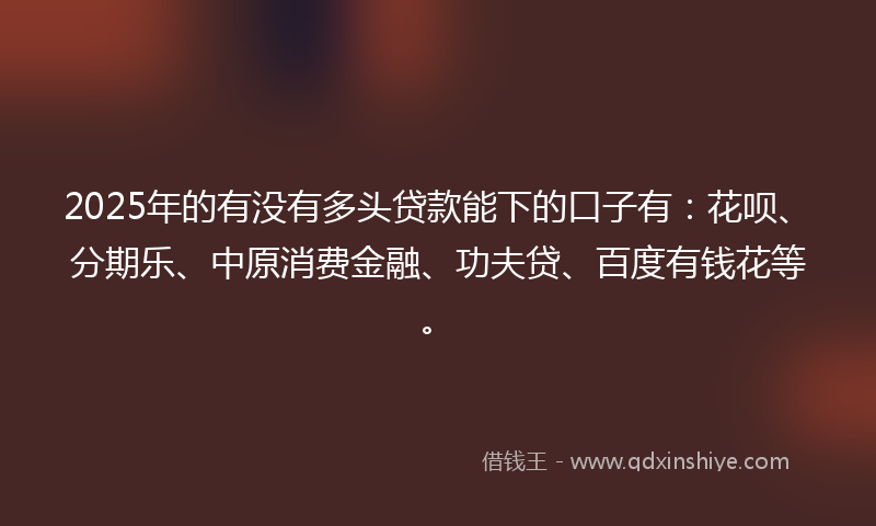 2025年的有没有多头贷款能下的口子有：花呗、分期乐、中原消费金融、功夫贷、百度有钱花等。