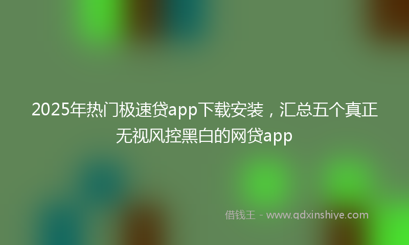 2025年热门极速贷app下载安装，汇总五个真正无视风控黑白的网贷app