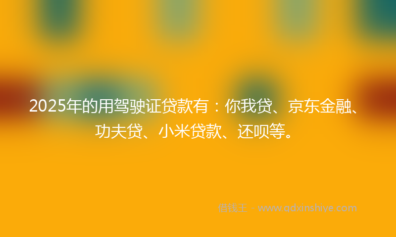 2025年的用驾驶证贷款有：你我贷、京东金融、功夫贷、小米贷款、还呗等。