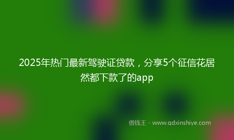 2025年热门最新驾驶证贷款，分享5个征信花居然都下款了的app