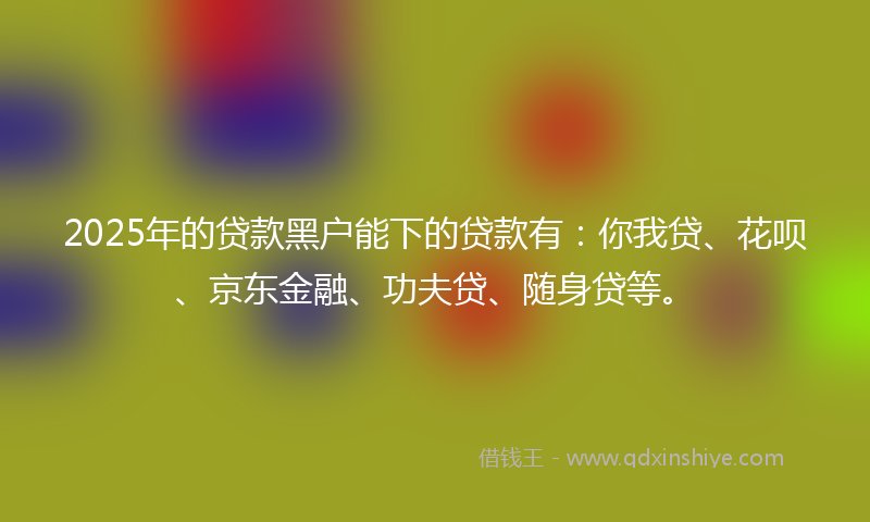 2025年的贷款黑户能下的贷款有：你我贷、花呗、京东金融、功夫贷、随身贷等。