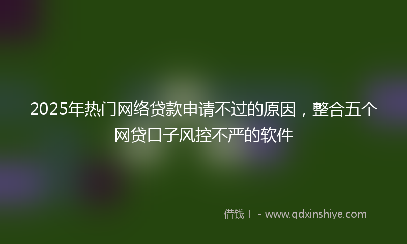 2025年热门网络贷款申请不过的原因，整合五个网贷口子风控不严的软件