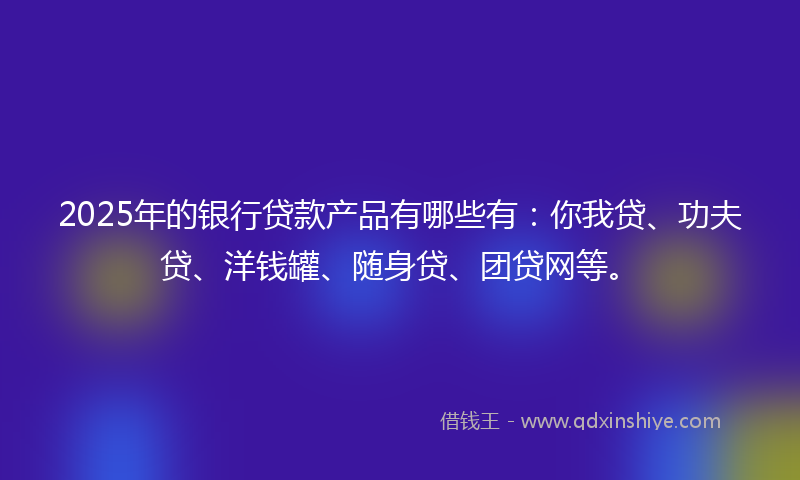 2025年的银行贷款产品有哪些有：你我贷、功夫贷、洋钱罐、随身贷、团贷网等。