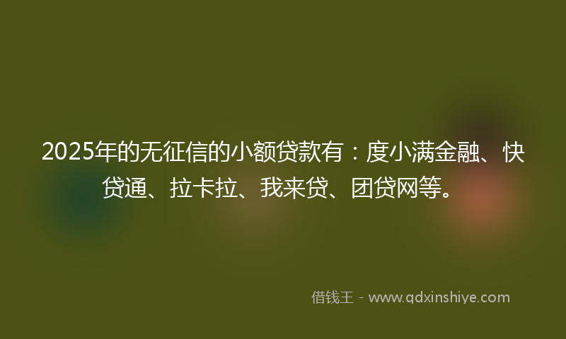 2025年的无征信的小额贷款有：度小满金融、快贷通、拉卡拉、我来贷、团贷网等。