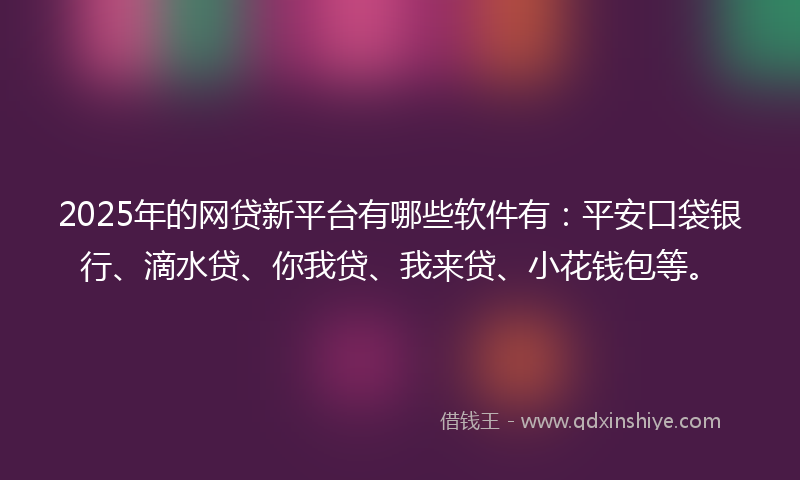 2025年的网贷新平台有哪些软件有：平安口袋银行、滴水贷、你我贷、我来贷、小花钱包等。