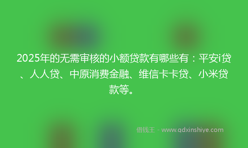 2025年的无需审核的小额贷款有哪些有：平安i贷、人人贷、中原消费金融、维信卡卡贷、小米贷款等。