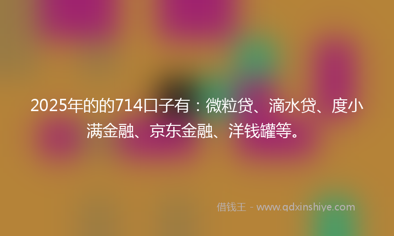 2025年的的714口子有：微粒贷、滴水贷、度小满金融、京东金融、洋钱罐等。