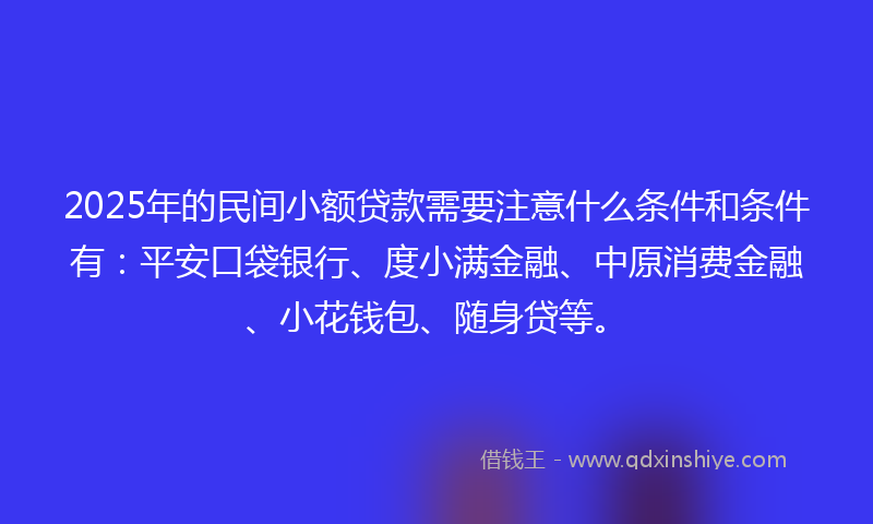 2025年的民间小额贷款需要注意什么条件和条件有：平安口袋银行、度小满金融、中原消费金融、小花钱包、随身贷等。