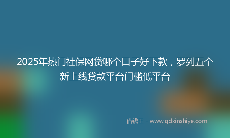 2025年热门社保网贷哪个口子好下款，罗列五个新上线贷款平台门槛低平台