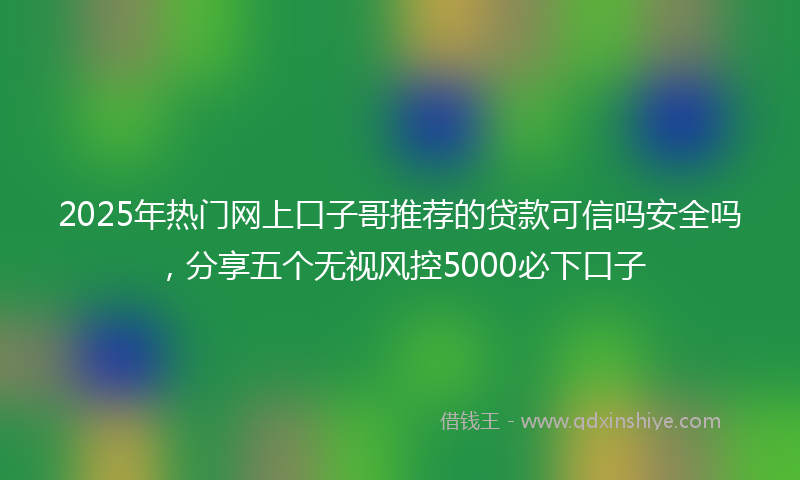 2025年热门网上口子哥推荐的贷款可信吗安全吗，分享五个无视风控5000必下口子