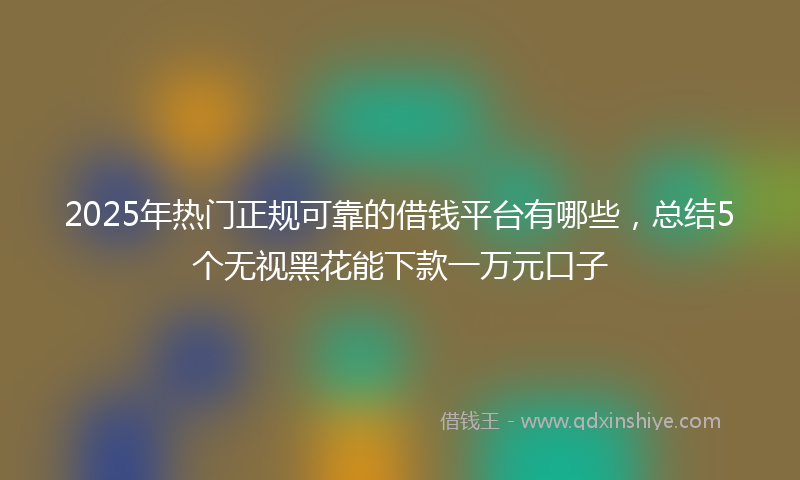2025年热门正规可靠的借钱平台有哪些，总结5个无视黑花能下款一万元口子