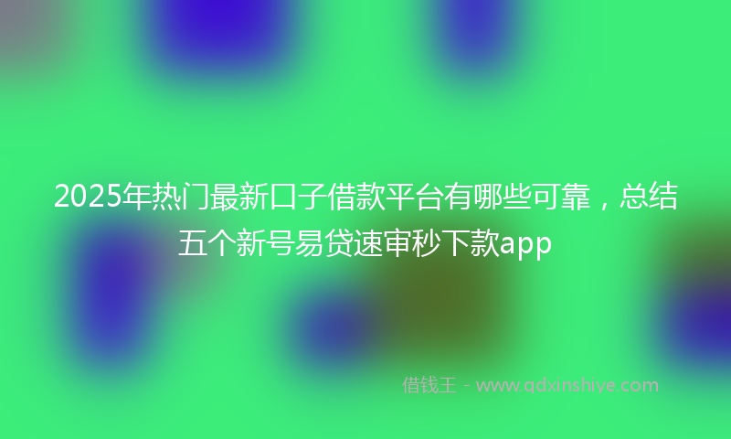 2025年热门最新口子借款平台有哪些可靠，总结五个新号易贷速审秒下款app