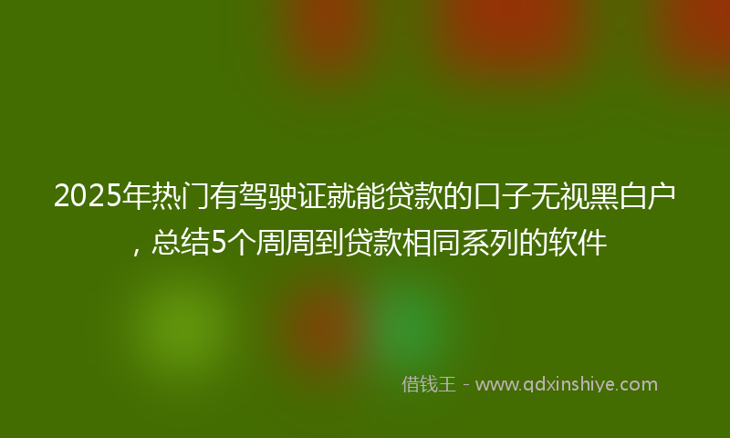 2025年热门有驾驶证就能贷款的口子无视黑白户，总结5个周周到贷款相同系列的软件