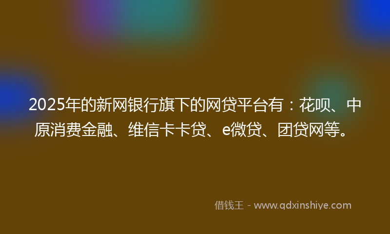 2025年的新网银行旗下的网贷平台有：花呗、中原消费金融、维信卡卡贷、e微贷、团贷网等。