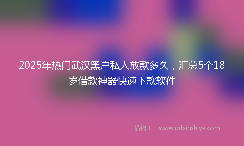 2025年热门武汉黑户私人放款多久，汇总5个18岁借款神器快速下款软件