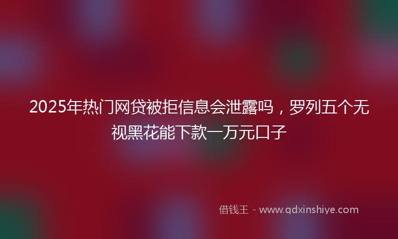 2025年热门网贷被拒信息会泄露吗，罗列五个无视黑花能下款一万元口子