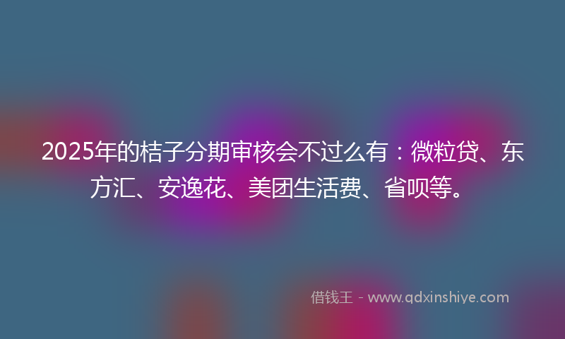 2025年的桔子分期审核会不过么有：微粒贷、东方汇、安逸花、美团生活费、省呗等。