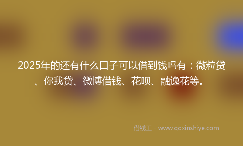 2025年的还有什么口子可以借到钱吗有：微粒贷、你我贷、微博借钱、花呗、融逸花等。