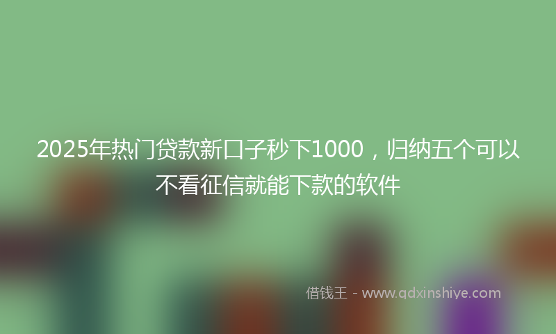 2025年热门贷款新口子秒下1000，归纳五个可以不看征信就能下款的软件