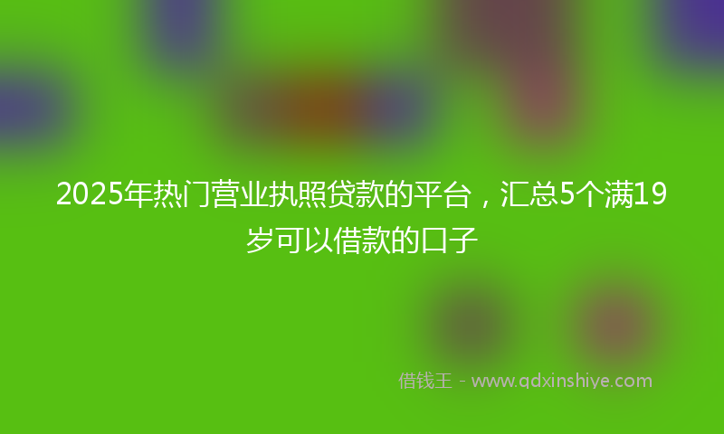 2025年热门营业执照贷款的平台，汇总5个满19岁可以借款的口子
