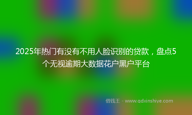 2025年热门有没有不用人脸识别的贷款，盘点5个无视逾期大数据花户黑户平台