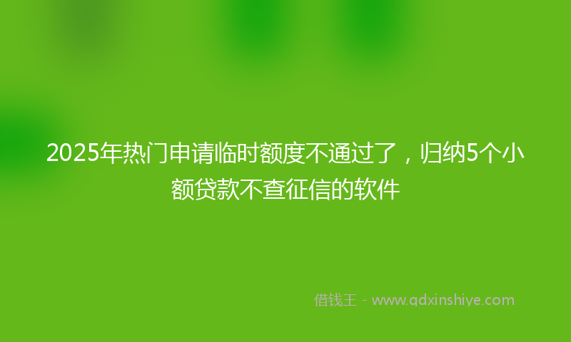2025年热门申请临时额度不通过了，归纳5个小额贷款不查征信的软件
