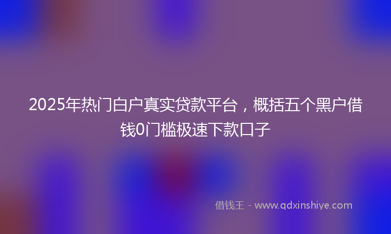 2025年热门白户真实贷款平台，概括五个黑户借钱0门槛极速下款口子