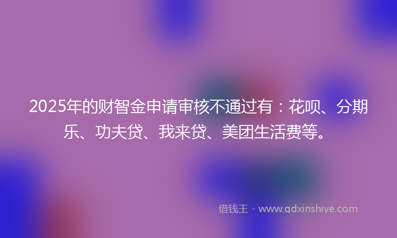 2025年的财智金申请审核不通过有：花呗、分期乐、功夫贷、我来贷、美团生活费等。