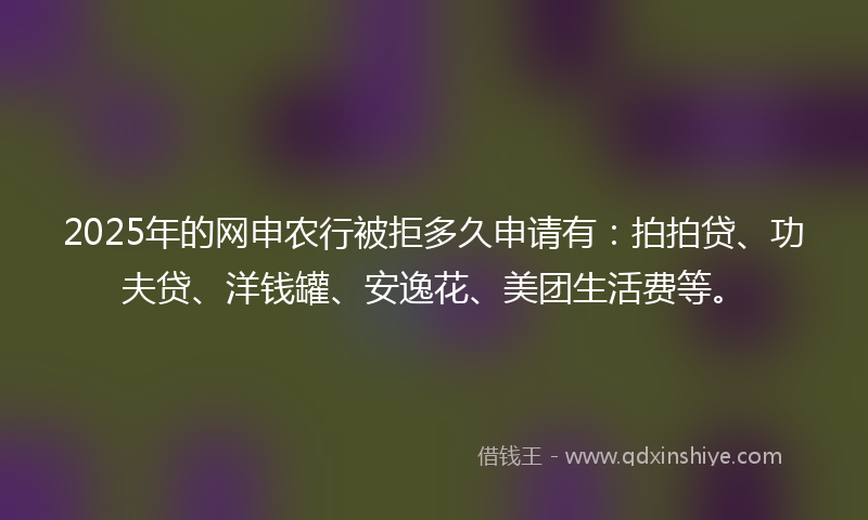 2025年的网申农行被拒多久申请有：拍拍贷、功夫贷、洋钱罐、安逸花、美团生活费等。