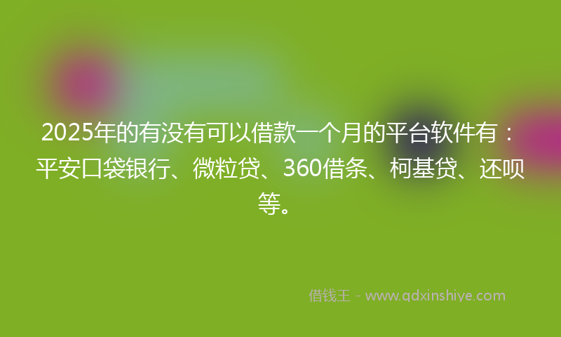 2025年的有没有可以借款一个月的平台软件有：平安口袋银行、微粒贷、360借条、柯基贷、还呗等。