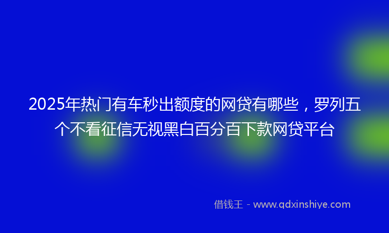 2025年热门有车秒出额度的网贷有哪些，罗列五个不看征信无视黑白百分百下款网贷平台