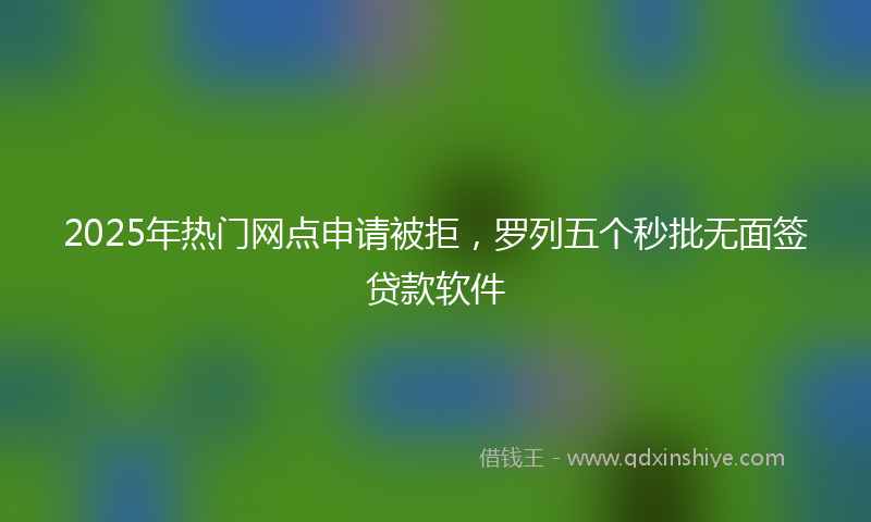 2025年热门网点申请被拒，罗列五个秒批无面签贷款软件