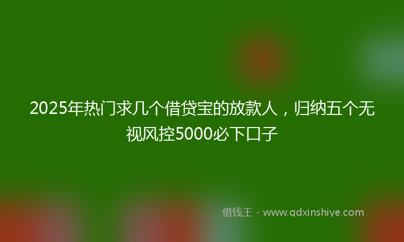 2025年热门求几个借贷宝的放款人，归纳五个无视风控5000必下口子