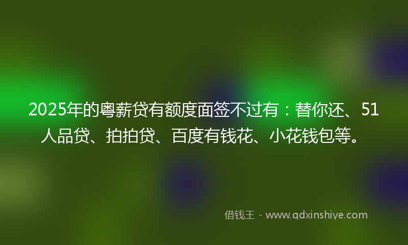 2025年的粤薪贷有额度面签不过有：替你还、51人品贷、拍拍贷、百度有钱花、小花钱包等。