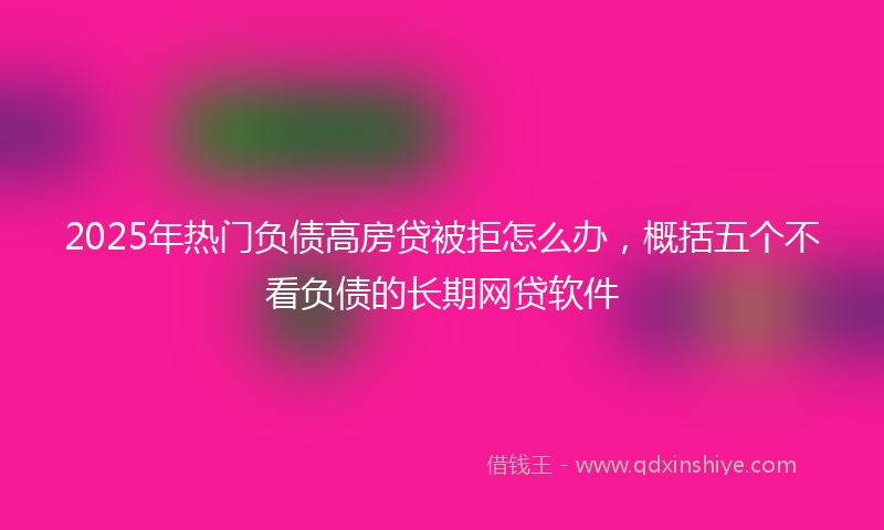2025年热门负债高房贷被拒怎么办，概括五个不看负债的长期网贷软件