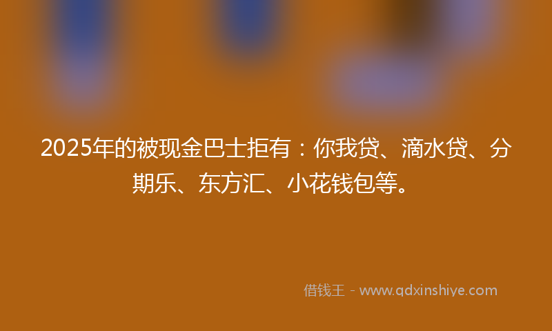 2025年的被现金巴士拒有：你我贷、滴水贷、分期乐、东方汇、小花钱包等。