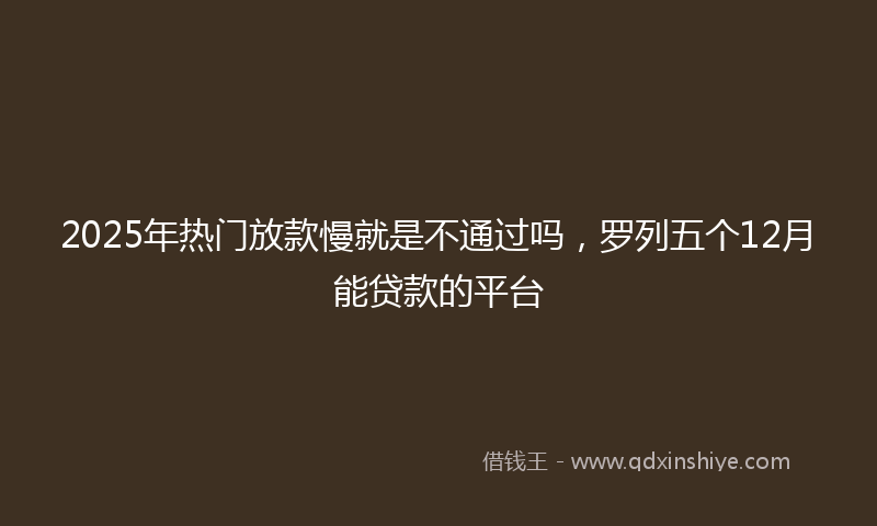 2025年热门放款慢就是不通过吗，罗列五个12月能贷款的平台