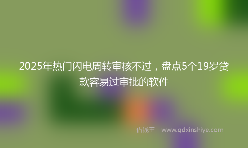 2025年热门闪电周转审核不过，盘点5个19岁贷款容易过审批的软件