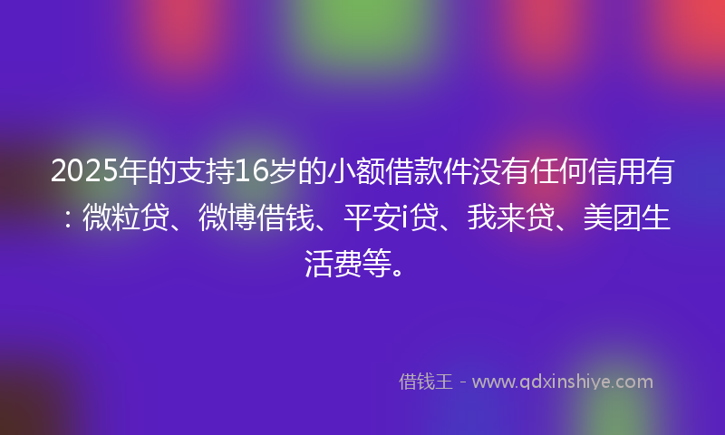 2025年的支持16岁的小额借款件没有任何信用有：微粒贷、微博借钱、平安i贷、我来贷、美团生活费等。