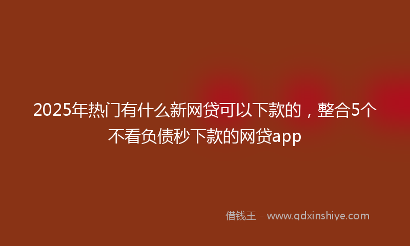 2025年热门有什么新网贷可以下款的，整合5个不看负债秒下款的网贷app