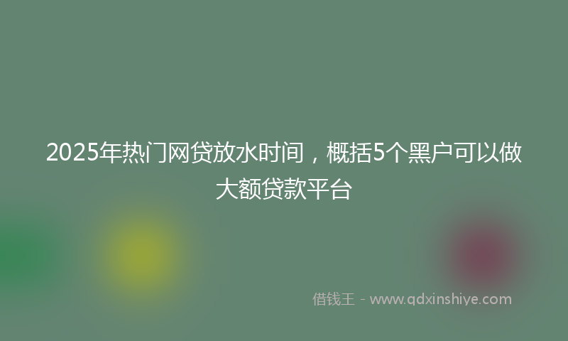 2025年热门网贷放水时间，概括5个黑户可以做大额贷款平台
