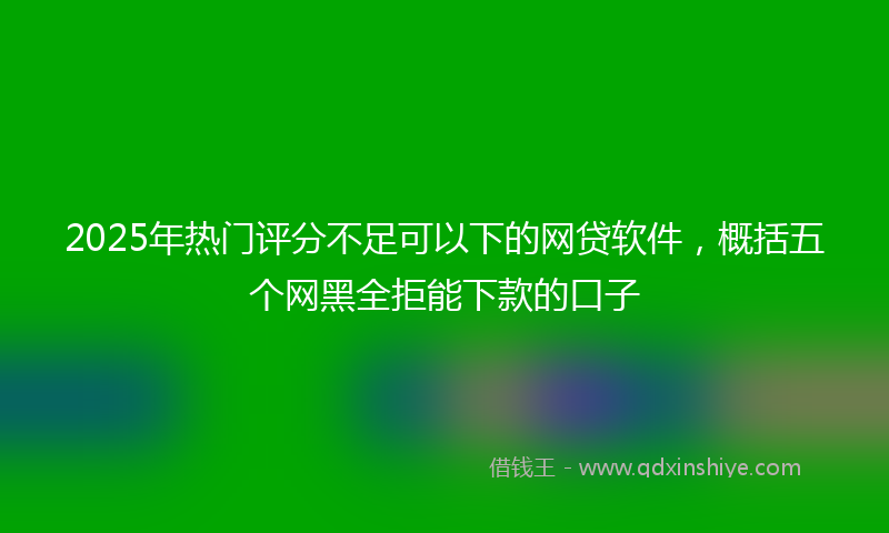 2025年热门评分不足可以下的网贷软件，概括五个网黑全拒能下款的口子