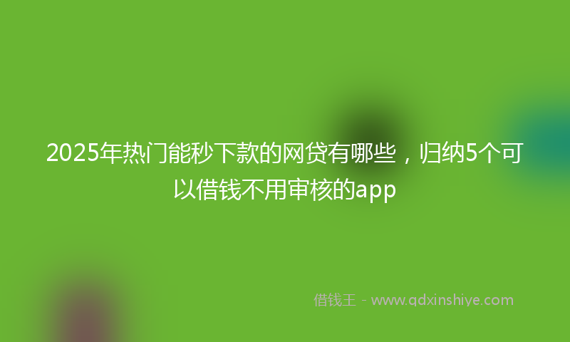 2025年热门能秒下款的网贷有哪些，归纳5个可以借钱不用审核的app