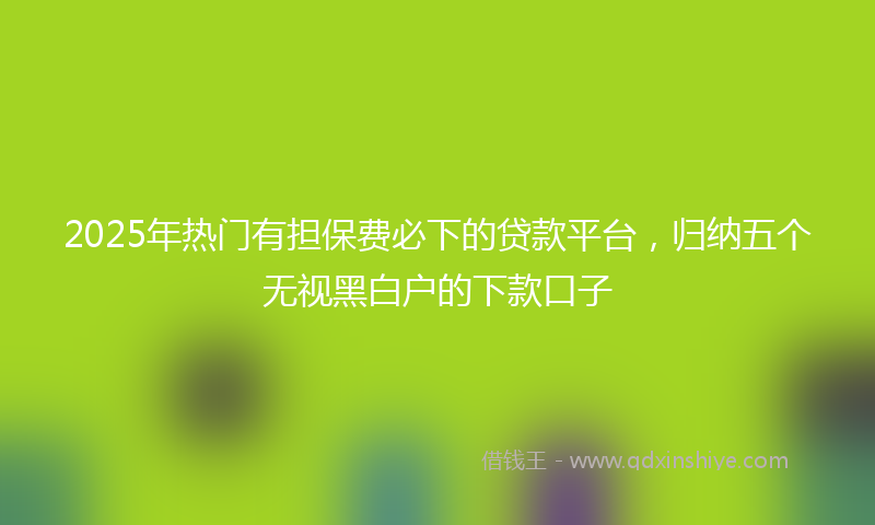 2025年热门有担保费必下的贷款平台，归纳五个无视黑白户的下款口子