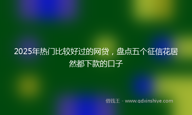 2025年热门比较好过的网贷，盘点五个征信花居然都下款的口子