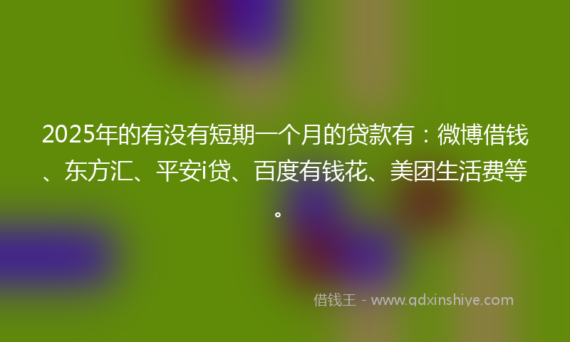 2025年的有没有短期一个月的贷款有：微博借钱、东方汇、平安i贷、百度有钱花、美团生活费等。
